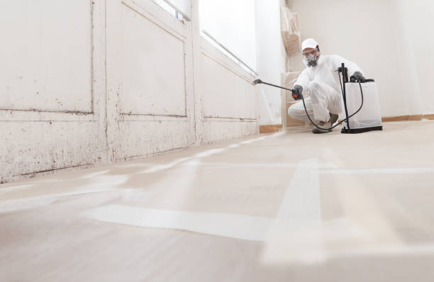 24/7 Emergency Basement Mold Removal experts in Aberdeen, MD