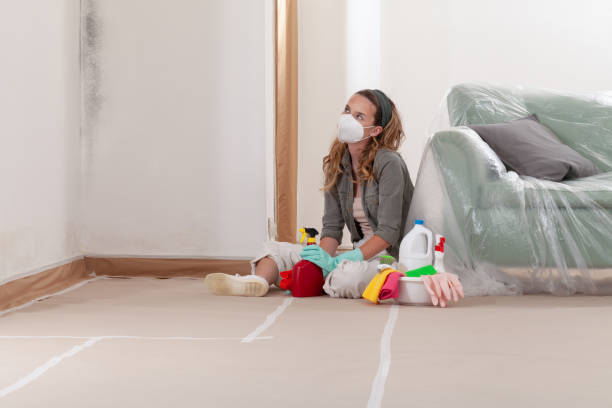 Reliable Basement Mold Removal contractor in Aberdeen, MD by WQB Mold Removal