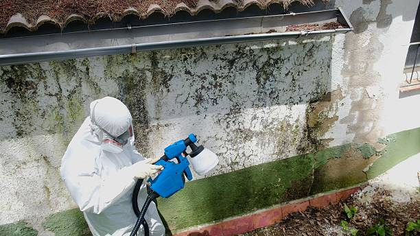 Top rated local Basement Mold Removal specialists in Aberdeen, MD